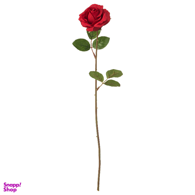 شاخه گل رز هلندی مدل ممتاز