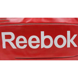 ساک ورزشی مدل R004