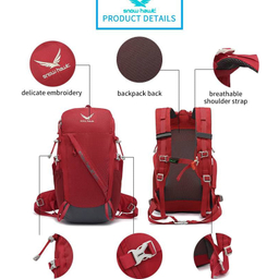 کوله پشتی 25 لیتر اسنو هاوک (Snow Hawk) کد 5445