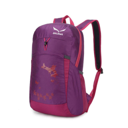 کوله حمل طرح سالیوا (Salewa) مدل 9125