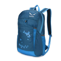 کوله حمل طرح سالیوا (Salewa) مدل 9125