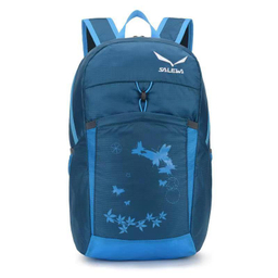 کوله حمل طرح سالیوا (Salewa) مدل 9125