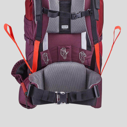 کوله پشتی کوهنوردی فورکلاز (Forclaz) مدل TC67-50L