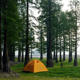 چادر 4 نفره نیچرهایک (Naturehike) مدل NH18Z044-P_Seri