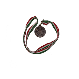 مدال برنز همگانی مدل B A310