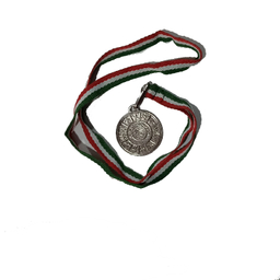 مدال نقره همگانی کد A310