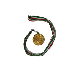 مدال طلا همگانی کد A310