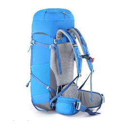 کوله پشتی اسنو هاوک (Snow Hawk) مدل Sirwan 55+5L