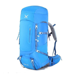 کوله پشتی اسنو هاوک (Snow Hawk) مدل Sirwan 55+5L