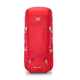 کوله پشتی اسنو هاوک (Snow Hawk) مدل Sirwan 55+5L