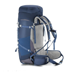 کوله پشتی اسنو هاوک (Snow Hawk) مدل Sirwan 55+5L