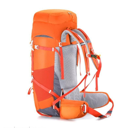 کوله پشتی اسنو هاوک (Snow Hawk) مدل Sirwan 55+5L