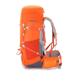 کوله پشتی اسنو هاوک (Snow Hawk) مدل Sirwan 55+5L