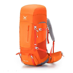 کوله پشتی اسنو هاوک (Snow Hawk) مدل Sirwan 55+5L