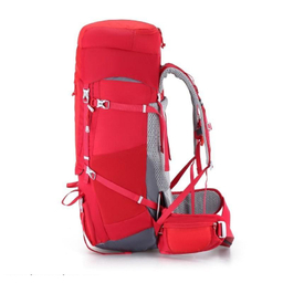 کوله پشتی اسنو هاوک (Snow Hawk) مدل Sirwan 55+5L