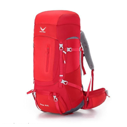 کوله پشتی اسنو هاوک (Snow Hawk) مدل Sirwan 55+5L