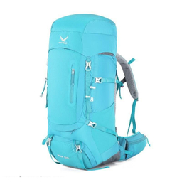 کوله پشتی اسنو هاوک (Snow Hawk) مدل Sirwan 55+5L