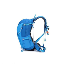 کوله پشتی کاراکال مدل KA-1721 30L