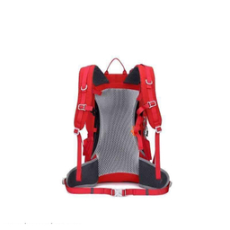 کوله پشتی کاراکال مدل KA-1721 30L
