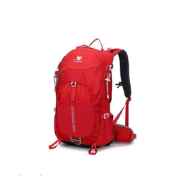 کوله پشتی کاراکال مدل KA-1721 30L