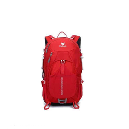کوله پشتی کاراکال مدل KA-1721 30L