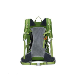 کوله پشتی کاراکال مدل KA-1721 30L