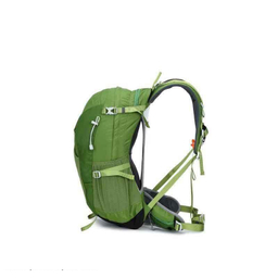 کوله پشتی کاراکال مدل KA-1721 30L