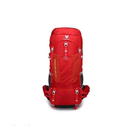 کوله پشتی کاراکال مدل KA-8146 WILDGUEST 65+5L
