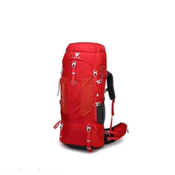 کوله پشتی کاراکال مدل KA-8146 WILDGUEST 65+5L