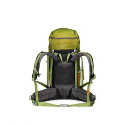 کوله پشتی کاراکال مدل KA-8074 55+10L