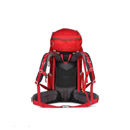 کوله پشتی کاراکال مدل KA-8074 55+10L