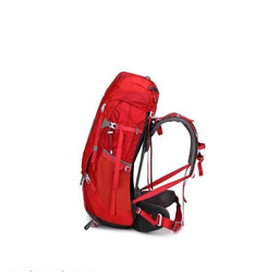 کوله پشتی کاراکال مدل KA-8074 55+10L