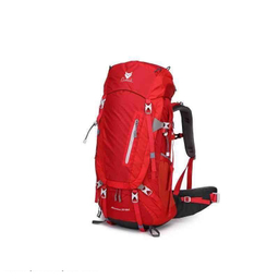 کوله پشتی کاراکال مدل KA-8074 55+10L