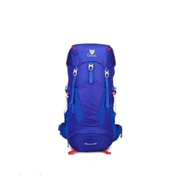 کوله پشتی کاراکال مدل KA-8133 50L