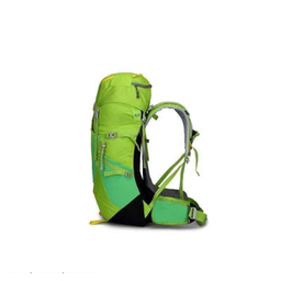 کوله پشتی کاراکال مدل KA-8133 50L