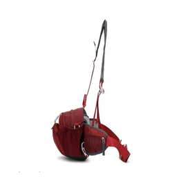 کیف کمری اسنو هاوک (Snow Hawk) مدل 6012