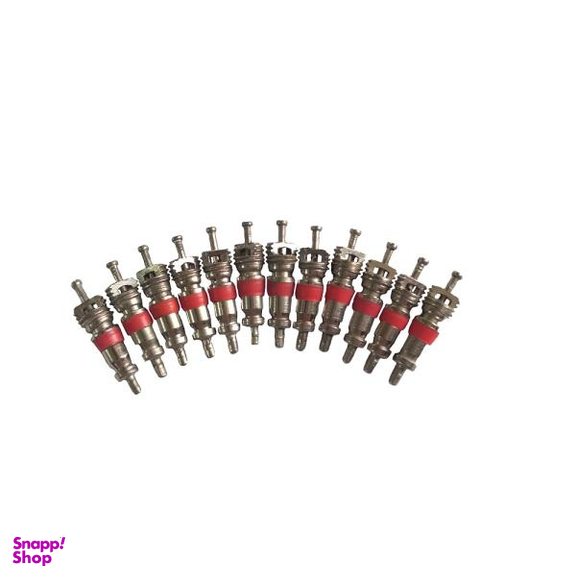 سوزن والف خودرو مدل GRS_80003 بسته 12 عددی