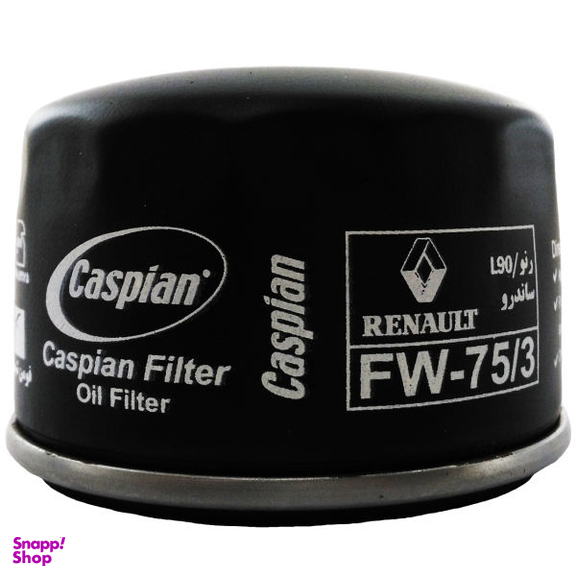 فیلتر روغن خودروی کاسپین مدل FW-75/3 مناسب برای رنو L90