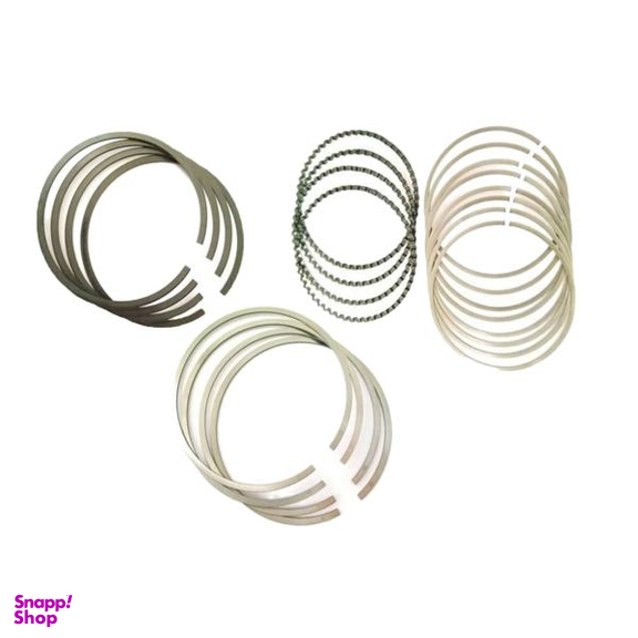 رینگ موتور ریک کد 40110 مناسب برای 206 تیپ 2 بسته 20 عددی