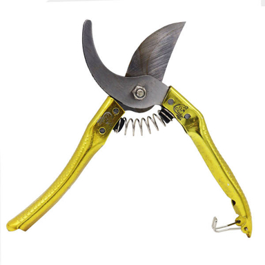 قیچی باغبانی مدل چیکن کد FR-20