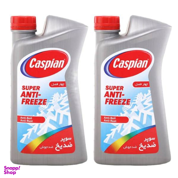 ضدیخ و ضدجوش خودرو کاسپین مدل چهار فصل حجم 1000 میلی لیتر بسته 2 عددی