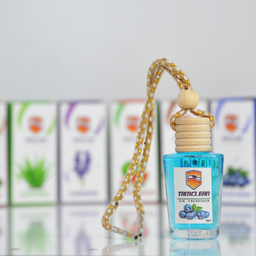 خوشبوکننده خودرو تام کلین (Tamclean) مدل Blue Berry حجم 10 میلی لیتر