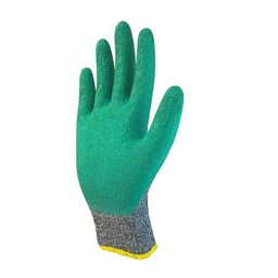 دستکش ایمنی دستکش گیلان (Gilan Glaves) مدل 01 مجموعه 12 عددی