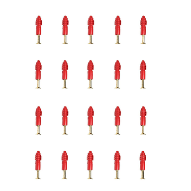 پیچ و رول پلاک کد 6.37-10 بسته 20 عددی