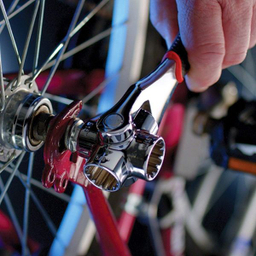 آچار همه کاره مدل بول کد YP-FR-250MM سایز 10 اینچ