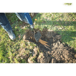 پیکور بادی 11 کیلویی شپخ (Scheppach) مدل AERO2 SPADE
