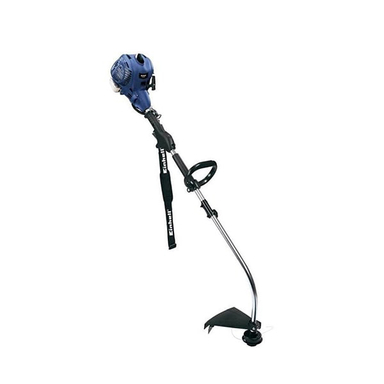 حاشیه زن بنزینی آینهل (Einhell) مدل BG-PT 2542