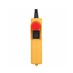 جرثقیل سقفی برقی رونیکس (Ronix) مدل RH-4130 وزن 250 کیلوگرم سایز 18 متر