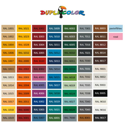 اسپری دوپلی کالر (Dupli Color) مدل Ral 9016 رنگ سفید حجم 400 میلی لیتر
