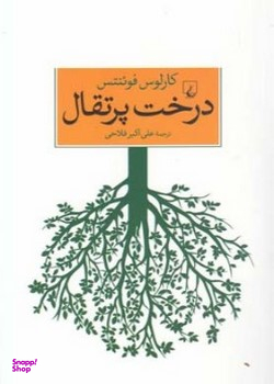 درخت پرتقال